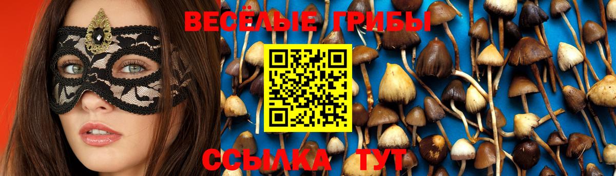 Дзержинский  Галлюциногенные грибы MAGIC MUSHROOMS  Галлюциногенные грибы прущие грибы  Вход с VPN 